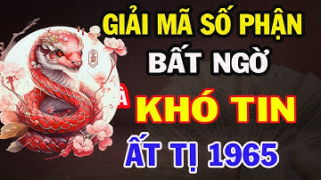 “Dấu Ấn Trời Định: ẤT TỊ 1965 sau Bão Tố Cuộc Đời, Là Những Chuyện  Bất Ngờ Và Khó Tin”.