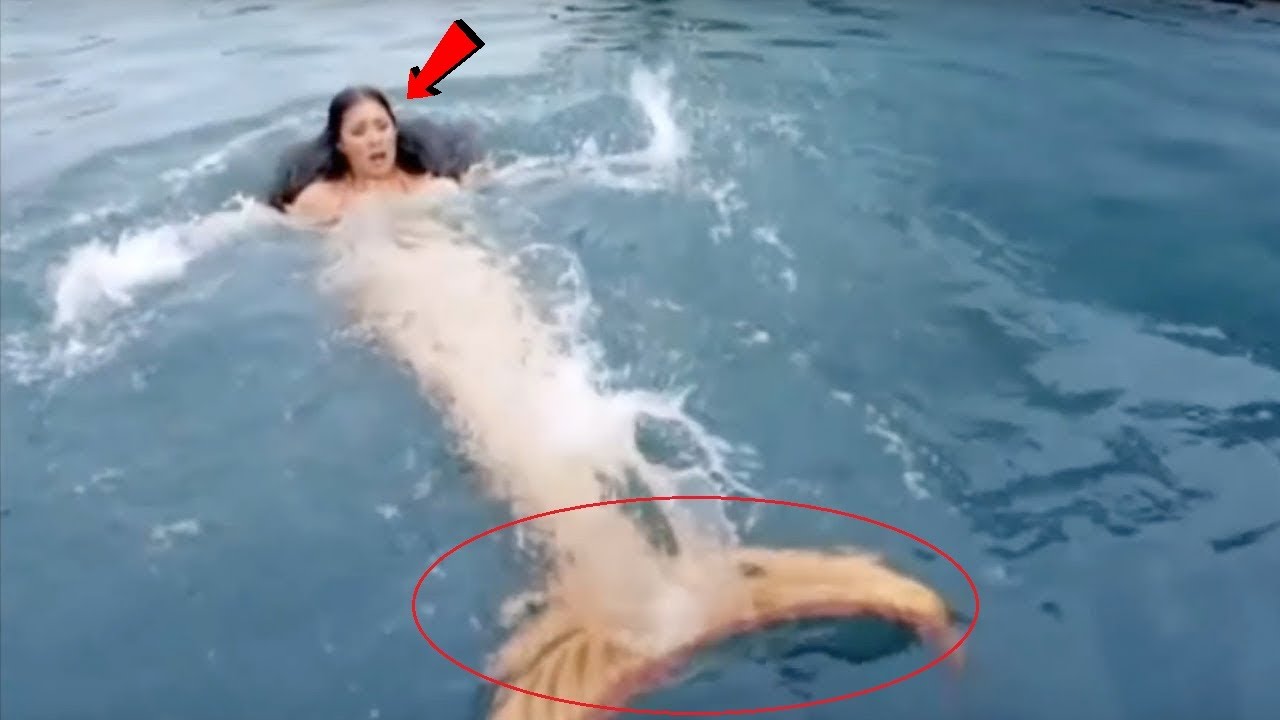 कैमरे में कैद 5 जलपरी की रहस्यमय घटनाएं ( जलपरी का रहस्य ) Top 5 Real  Mermaids Caught On Camera - YouTube