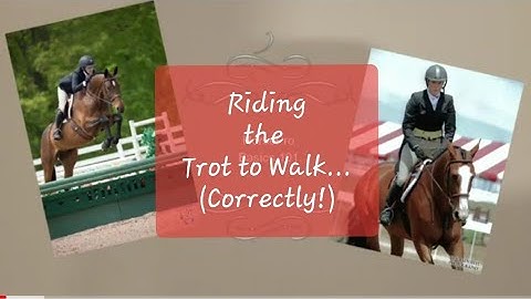 Basics 101: CORRECTLY RIDING A DOWNWARD TRANSITION!!!!!