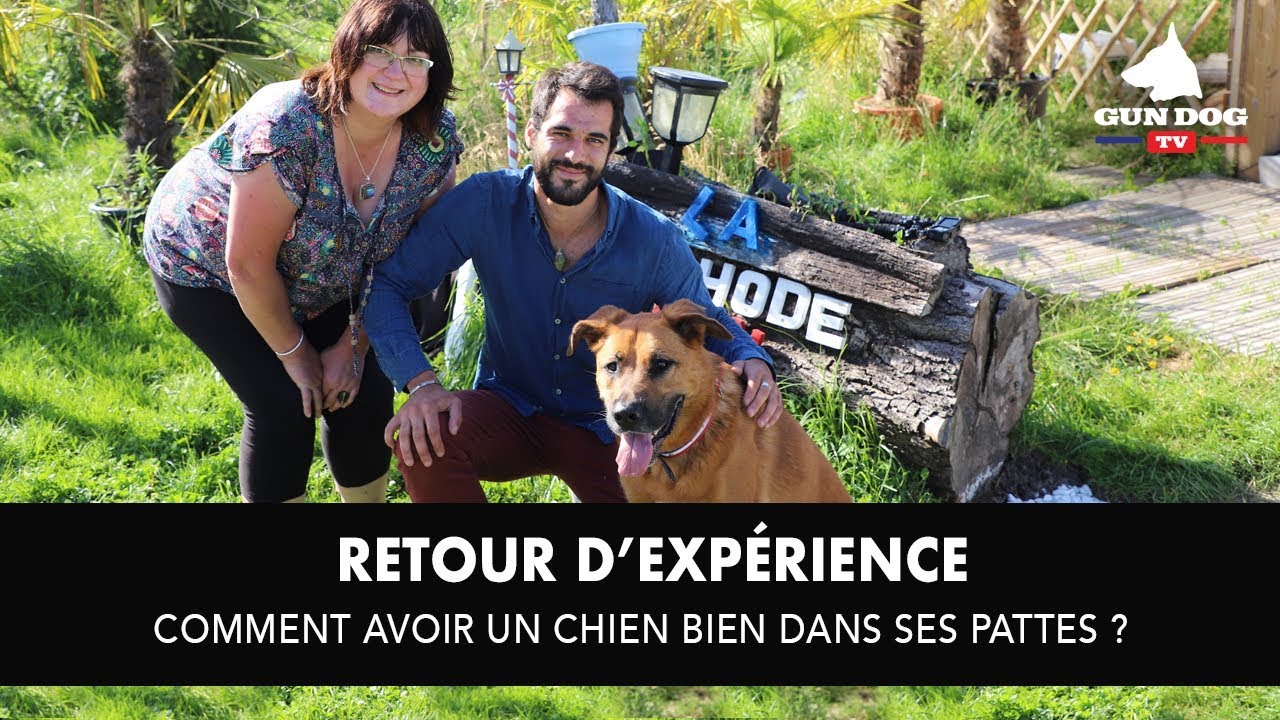COMMENT AVOIR UN CHIEN BIEN DANS SES PATTES ? dressage arena