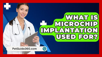 What Is Microchip Implantation Used For? - PetGuide360.com