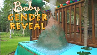 MOST EPIC Gender Reveal Party