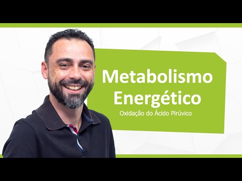 Vídeo: O que começa a oxidação do piruvato?