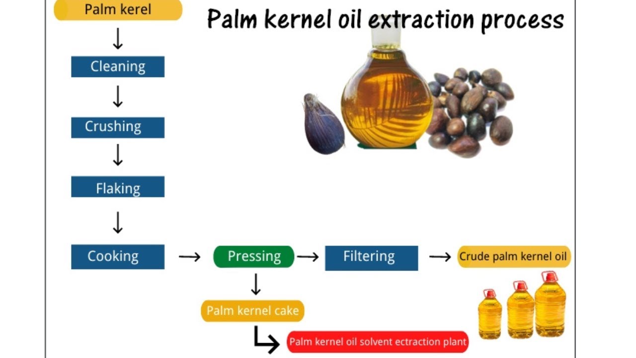 Episode 12 - CLARA FARMS Palm Kernel Processing Factory (OWERRI) - Now in Operation! [Part 3]