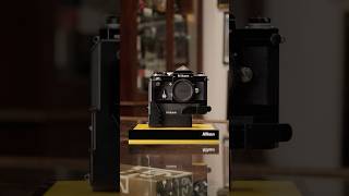 Nikon Heaven! The Ultimate Camera Lineup
