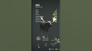 Big Ole melanistic moose! #thehuntercotw #shorts #gaming #tiktok