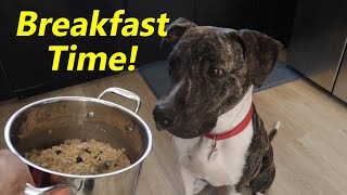 Breakfast For Dogs | OnePot Super Meal