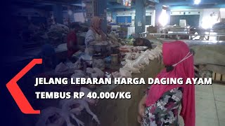 Harga Daging Ayam Naik Hampir 50 Persen. 