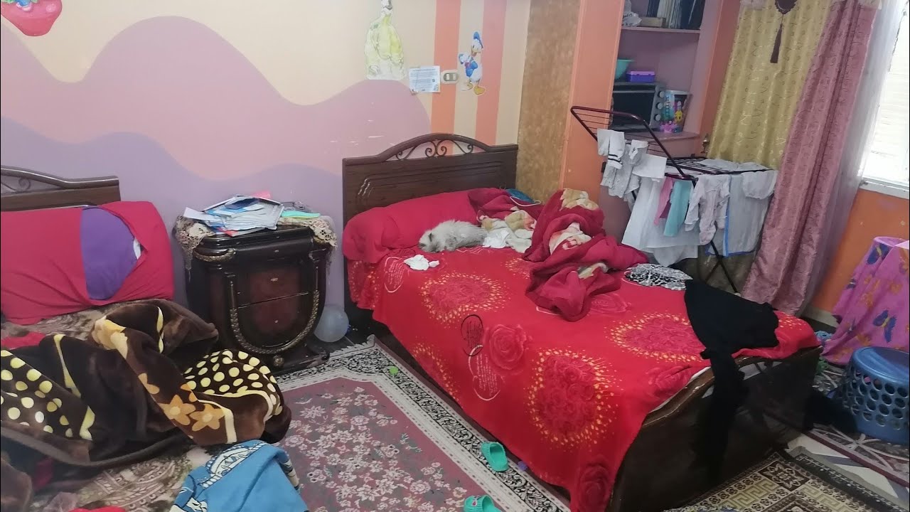 روتين 🌿طريقتى تعمر بيوت🎉 لو مشيتى عليها عمرك ما هتحتارى⁉️الست الشاطره مفيش حاجه تحبطها 🌿