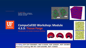 CC3D WS 4.3.3: Introduction to Tissue Forge [T.J. Sego] August 1, 2024