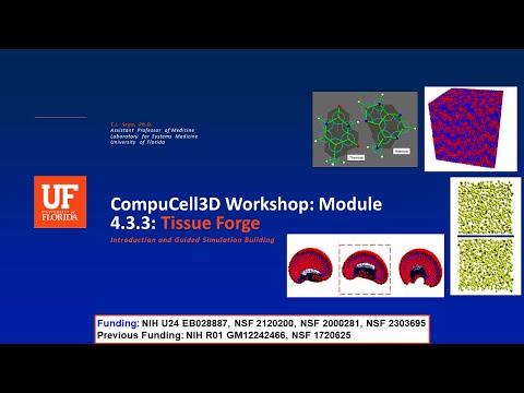 CC3D WS 4 3 3 Introduction To Tissue Forge T J Sego August 1 2024 