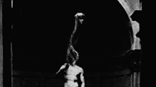 The Shell Of David Vocalizations