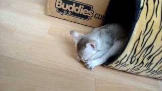 S2 clip 120809 3