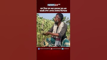 রাতের আঁধারে শত শত লাউ গাছ কেটে দিল দুর্বৃত্তরা  | NEWS24