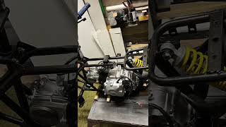 Kids quad bike 49cc kazuma meerkat restoration