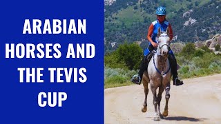 Arabian Horses And The Tevis Cup - Most Difficult Endurance Ride