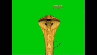 Shivangi snake green screen