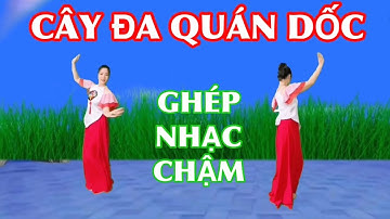 🌴Tập chậm : CÂY ĐA QUÁN DỐC