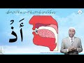 Lesson  5a  makhraj of zaal  urdu  learn tajweed  the easy way