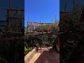 italy diaries : episode five #holiday #italy #asmr #amalficoast #sorrento #relax #aesthetic #time