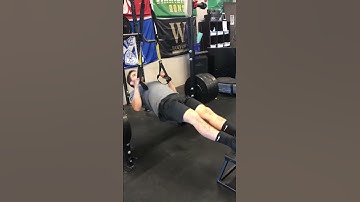 TRX Inverted Row (feet-elevated)