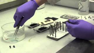 Making a vanadium redox flow batteryipad