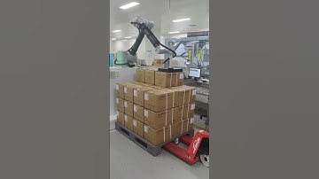 Industrial collaborative palletizing robot