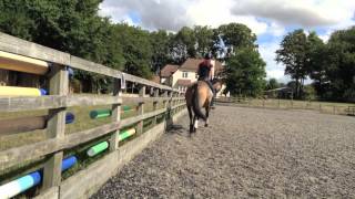 Hoodunit- Flatwork