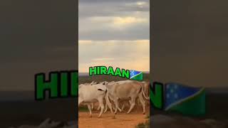 XAWAADLE WA HALYEEY ❤️🔥 | Hees Raab Cusub 2026 | Qabiilka Xawaadle