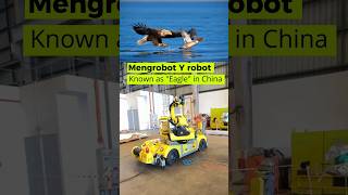 Mengrobot Y-series Also known as 'Eagle' in China.
