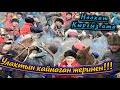 Кыргыз атадагы Мирбектин улагы/ 2- бөлүм.