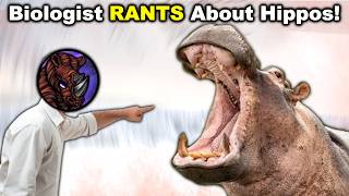 Why Hippos Are Worse Than Any Carnivore