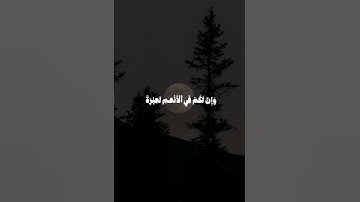 قران كريم انشروها جزاكم الله خير 🤍🫶🏻! #القرآن_الكريم #اللهم_صل_وسلم_على_نبينا_محمد #اكسبلور