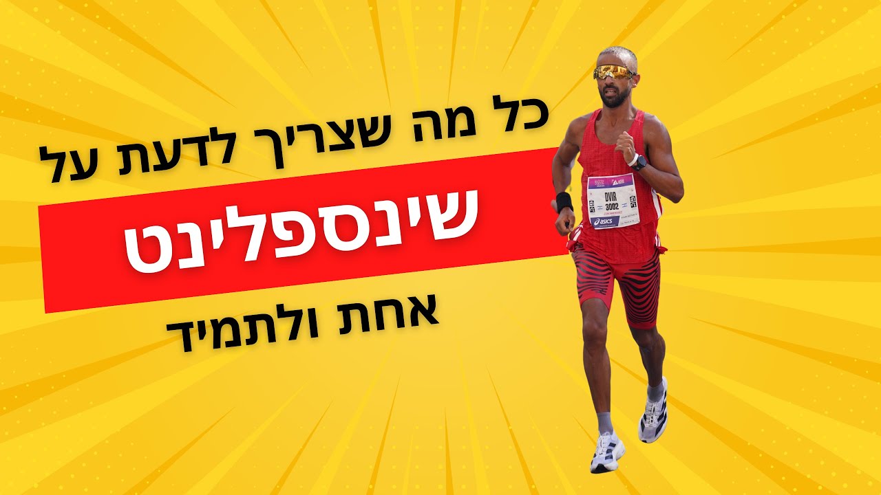 שינספלינט - כל מה שאתם צריכים לדעת