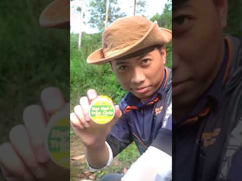 CÂU CHÉP HIỆU QUẢ VỚI HỒ ĐÁY BÙN | VIETNAM FISHING TV