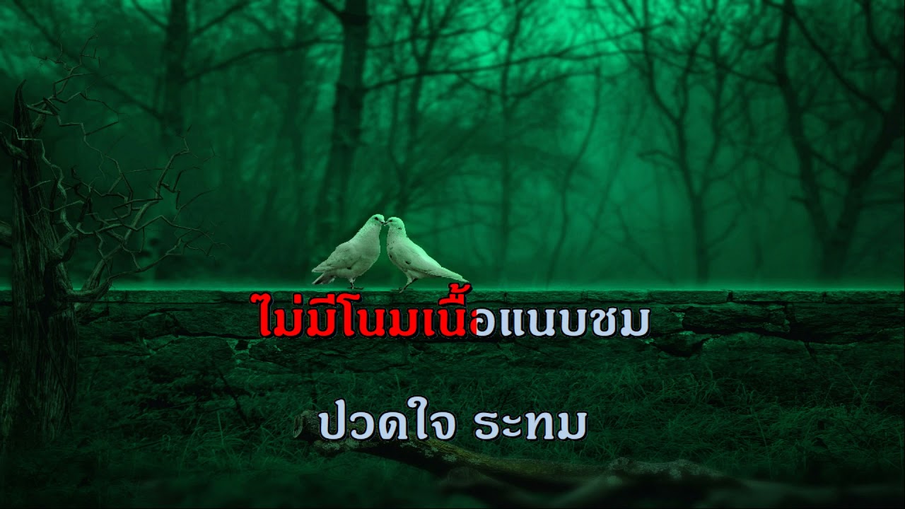 ช้อนนาง สุเทพ วงศ์กำแหง  คาราโอเกะ เพลงลูกกรุง เพลงเอก เพลงเก่า The Golden song midi karaoke