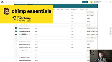 Mailchimp | creating and using groups Paul Jarvis at Chimp Essentials