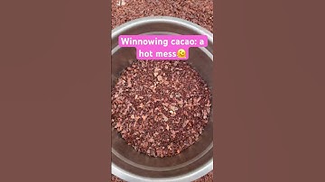 Winnowing roasted cacao beans to grind into chocolate. It’s such a mess…
