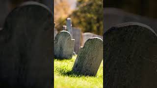 The Rosewood Cemetary Murders