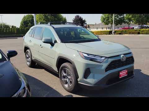 2022 Toyota RAV4 Hybrid XLE in Lunar Rock - YouTube