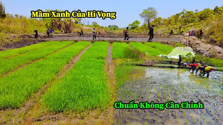 Quang Dũng || Chúng Tôi Đang Học Cách Tự Sản Xuất Lương Thực Của Người Giàu