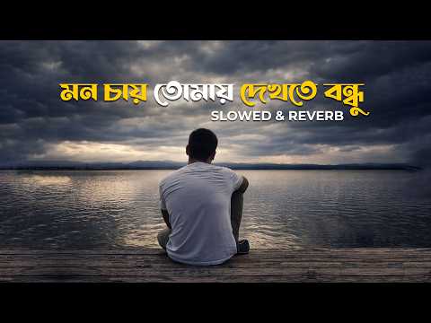 Mon Chay Tomay Dekhte Bondhu | Lofi Remix | মন চায় তোমায় দেখতে বন্ধু | Atif Ahmed Niloy | BanglaLofi