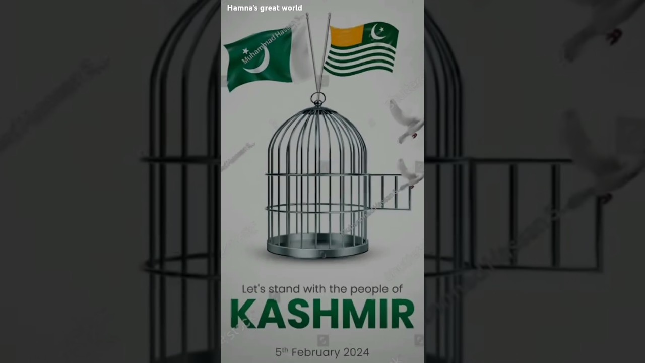 Kashmir day 🇵🇰🖤💚 