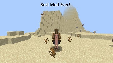 Ostriches Are The Best!