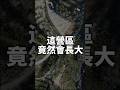 這個營區竟然會長大|南投全區碎石露營區 #camping #露營 #台玩露客