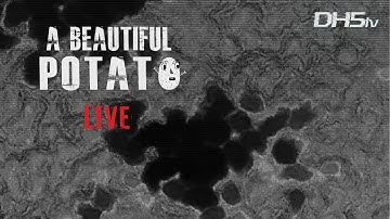 🥔LIVE: Chill Stream, Maybe Map making later | !Outpost  #OutpostDayz