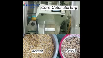 Color Sorter Machine for Corn Sorting