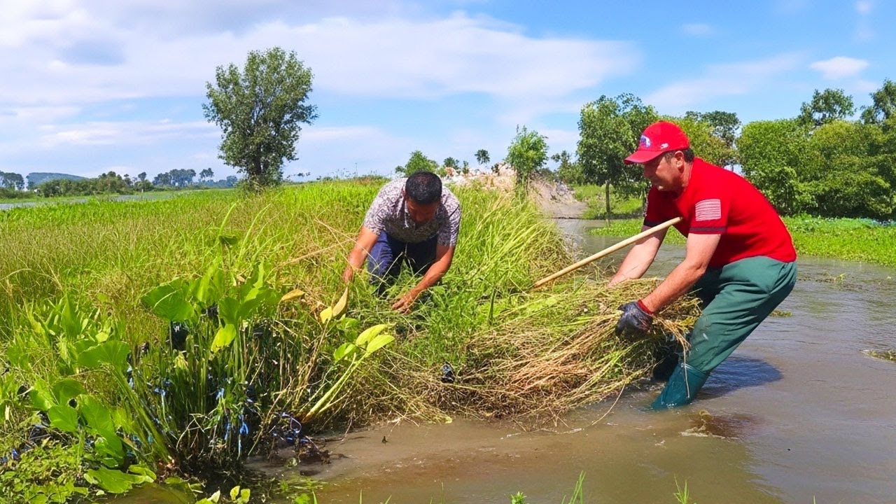 After Heavy Rain Remove Floating Plants And Debris Clogged Dam Drain To Canal