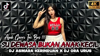 Dj Ayuk Gacor  Dj Su Dewasa Bukan Anak Kecil Dj Asmara Kerinduan  Dugem Viral Tiktok 2026