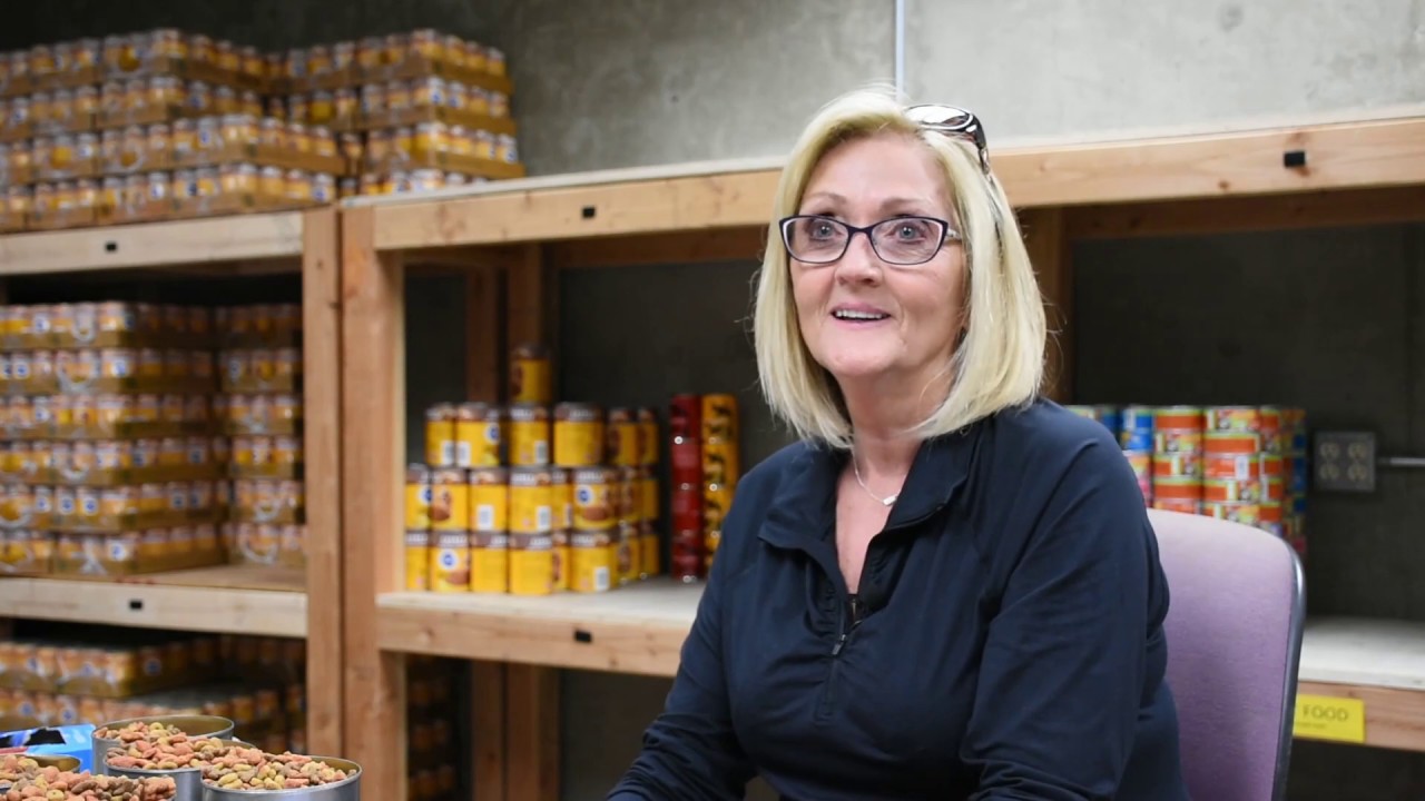 puppy paradise AniMeals volunteers are helping feed the pets of San Diego seniors
